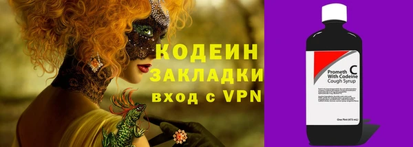 ECSTASY Алзамай