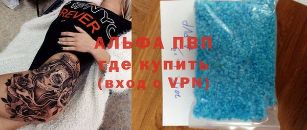 ECSTASY Алзамай