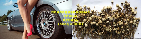 спайс Алексин