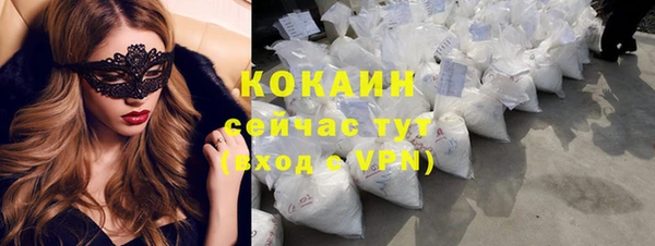 спайс Алексин