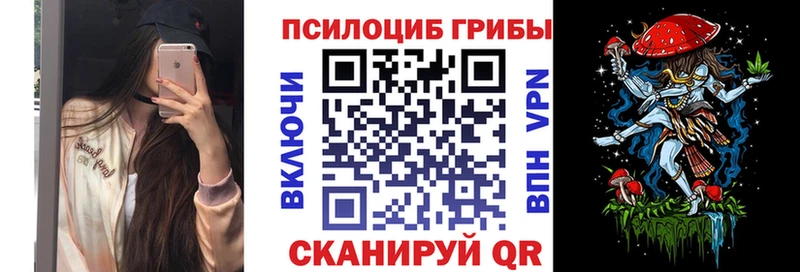 hydra ТОР  Макушино  Галлюциногенные грибы Psilocybe  как найти наркотики 
